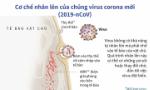Cơ chế nhân lên của chủng virus 2019-nCoV