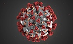 9 ý rất dễ nhớ khi phòng dịch virus Corona