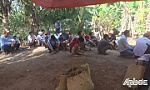 Triệt phá trường gà, bắt giữ 24 đối tượng