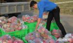 Chung tay hỗ trợ tiêu thụ thanh long