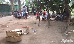 Triệt phá trường gà, thu giữ hơn 140 triệu đồng