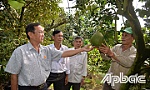 Hội Cựu chiến binh xã Hữu Đạo: Hỗ trợ phát triển kinh tế
