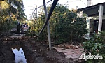 Mâu thuẫn về việc bẫy mèo: Một người bị đâm tử vong