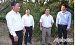 Lãnh đạo tỉnh kiểm tra công tác chống hạn, mặn tại các huyện phía Tây