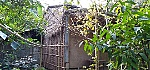 Hoàn cảnh khó khăn cần giúp đỡ