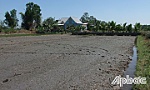 Đi soi nhái, 1 người bị điện giật tử vong