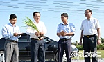 Lãnh đạo tỉnh kiểm tra hạn, mặn và sạt lở  khu vực phía Đông