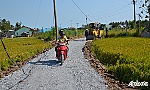Hoàn thành đường tạm qua vị trí sạt lở trên đường tỉnh 873