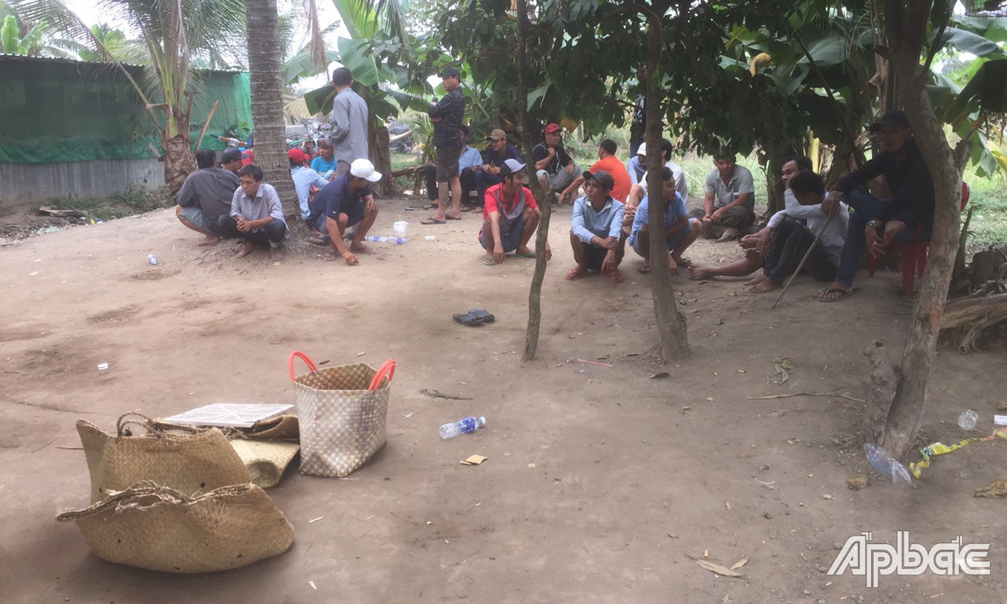 Các đối tượng tham gia đá gà.