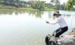 Nước ngọt đã vào phía Đông rạch Bảo Định