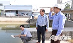 Kiểm tra hạn, mặn vùng Dự án Ba Rài - Phú An