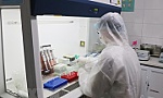 Việt Nam chế tạo thành công bộ KIT chẩn đoán virus SARS-CoV-2