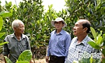 Một vườn cây xanh tốt nhờ chủ động trữ nước