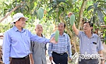 Cây ăn trái 