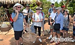Tiền Giang: Tạm dừng đón du khách nước ngoài đến tham quan