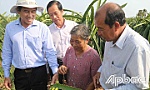 Những 