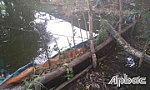 Kiểm tra Trang trại sản xuất tôm giống Đăng Tín