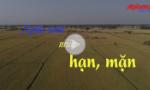 Nghĩa tình mùa hạn, mặn