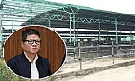 Con trai ông Trần Bắc Hà bị truy nã quốc tế