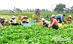 Hướng đến sự bình đẳng thực chất