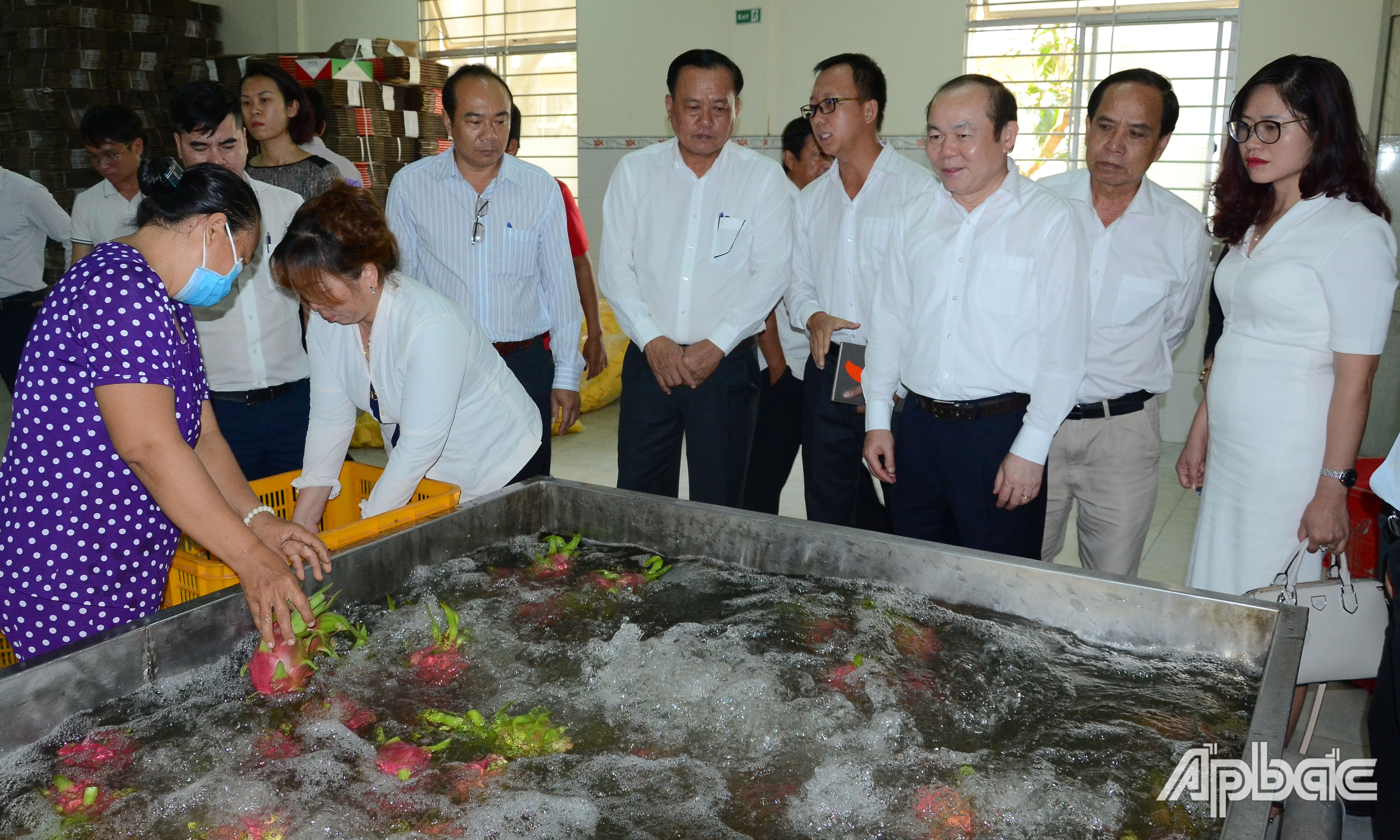 Đoàn công tác tham quan, tìm hiểu hoạt động sản xuất tại HTX Thanh long Mỹ Tịnh An.