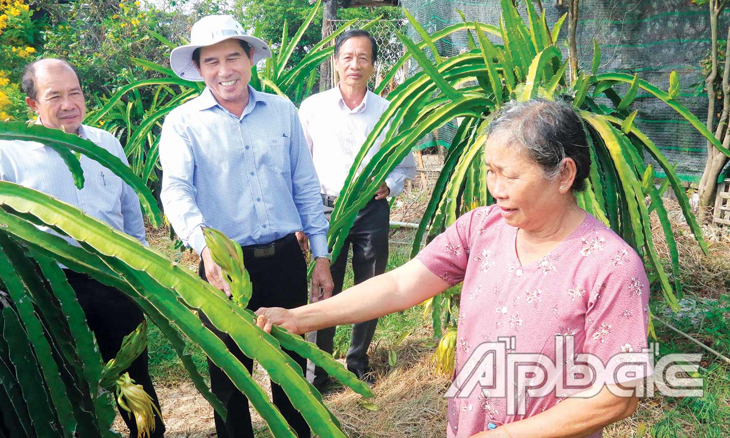  Đồng chí Lê Văn Hưởng thăm vườn thanh long đang đơm hoa của bà Kiều Thị Mười Một ở xã Đồng Sơn.                      				                                                                                       Ảnh: MINH TRÍ