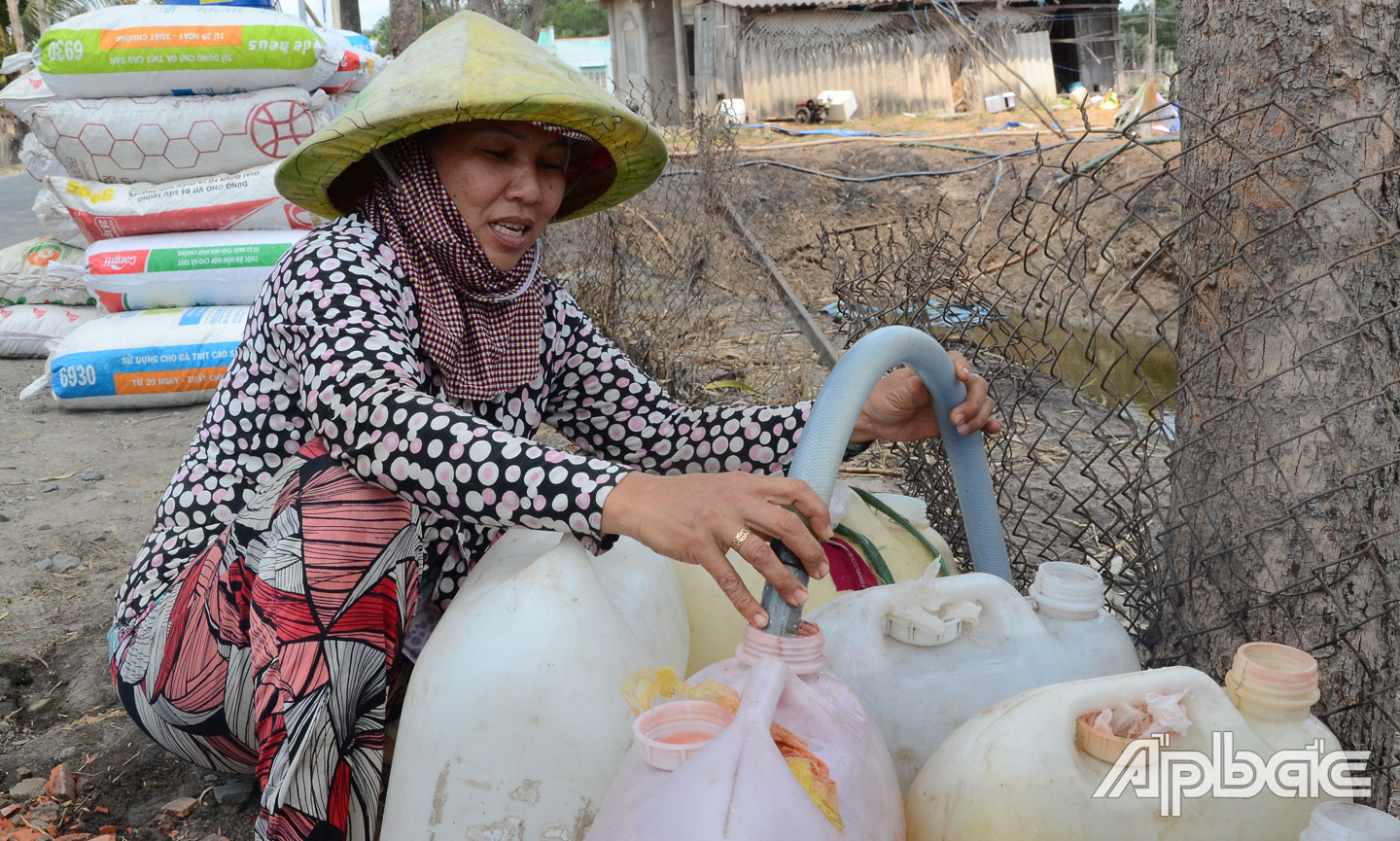 Do vườn thanh long nằm trong đường nhỏ nên người dân dùng can nhựa lấy nước để thuận lợi cho việc vận chuyển.