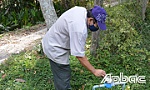 Nhiều hộ dân ở ấp Bình Hòa A thiếu nước sinh hoạt