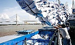 Cân đối khoảng 800 nghìn tấn gạo cho xuất khẩu tới tháng 5