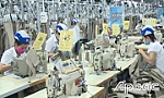 Bước chuyển phát triển doanh nghiệp và kinh tế tập thể