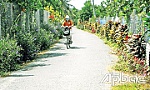 Đảng bộ xã Thanh Hòa: Dấu ấn một nhiệm kỳ