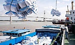 Thủ tướng chỉ đạo tháo gỡ khó khăn cho xuất khẩu gạo