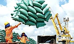 Lập đoàn kiểm tra thực tế lượng gạo xuất khẩu