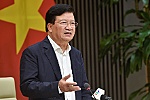 Phó Thủ tướng: Xử lý ngay những bất cập trong xuất khẩu gạo