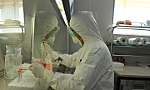 Những 'lá chắn thép' trong dịch COVID-19: 'Biệt đội' truy tìm virus