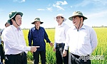 Khắc phục khó khăn trong năm cuối nhiệm kỳ, quyết tâm thực hiện hoàn thành các chỉ tiêu của Nghị quyết Đại hội X Đảng bộ tỉnh