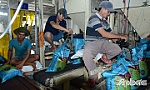 Từ ngày 1-5 xuất khẩu gạo trở lại bình thường