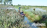Đất không phụ người