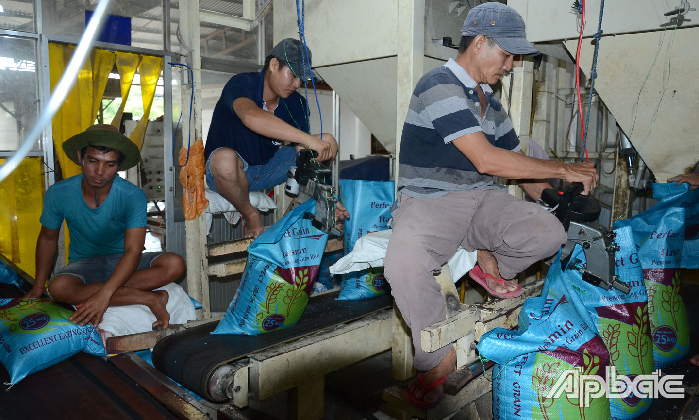 Lượng gạo tại các doanh nghiệp trên địa bàn tỉnh đang khá dồi dào.