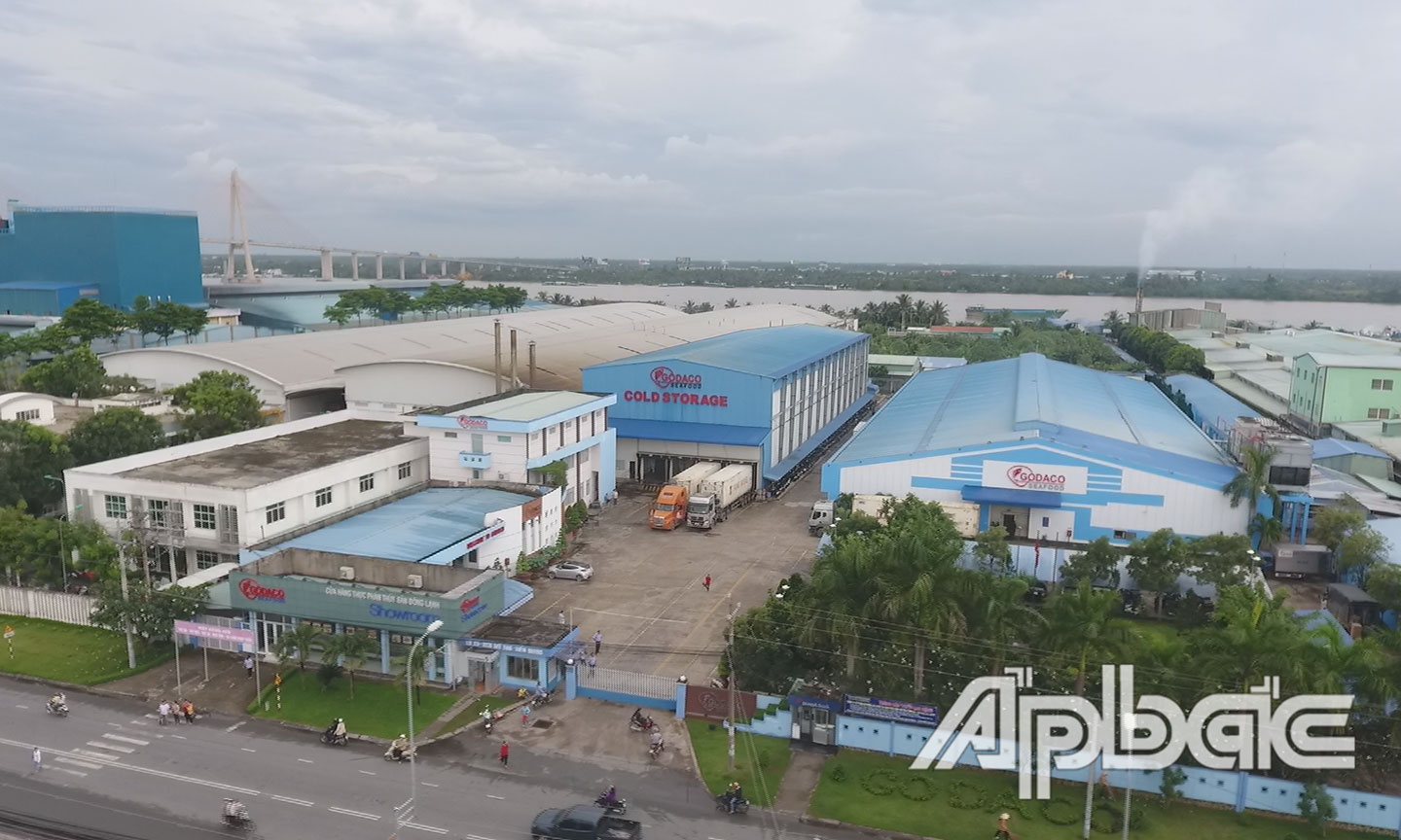 Khu công nghiệp Mỹ Tho ngày nay đã được lấp đầy - Ảnh: TRẦN LIÊM