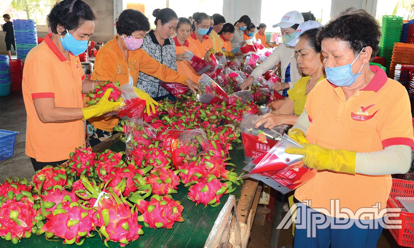 Phát triển cây ăn trái hiện đang bị “nghẽn” ở khâu chế biến.
