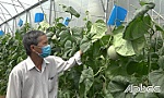 Vẫn tươi xanh trong mùa hạn, mặn