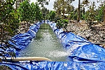 Xâm nhập mặn ở ĐBSCL có xu thế giảm dần từ tháng 5