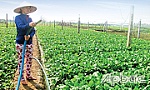 Xã Bình Nghị: Bước chuyển trong thực hiện Chỉ thị 05