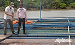 Cá nuôi bè trên sông Tiền chết không phải do nước mặn