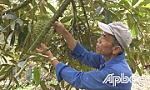 Niềm vui trở lại với nhà vườn