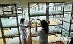 Ứng dụng công nghệ sinh học: Thúc đẩy phát triển kinh tế - xã hội