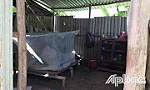 Cha bệnh phải nuôi 3 con nhỏ