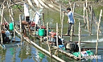 Huyện Gò Công Đông: Sản lượng lúa đông xuân 2019 - 2020 đạt 43.062 tấn
