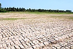 Tập trung ứng phó nắng nóng, hạn hán và xâm nhập mặn tại Trung Bộ, Tây Nguyên